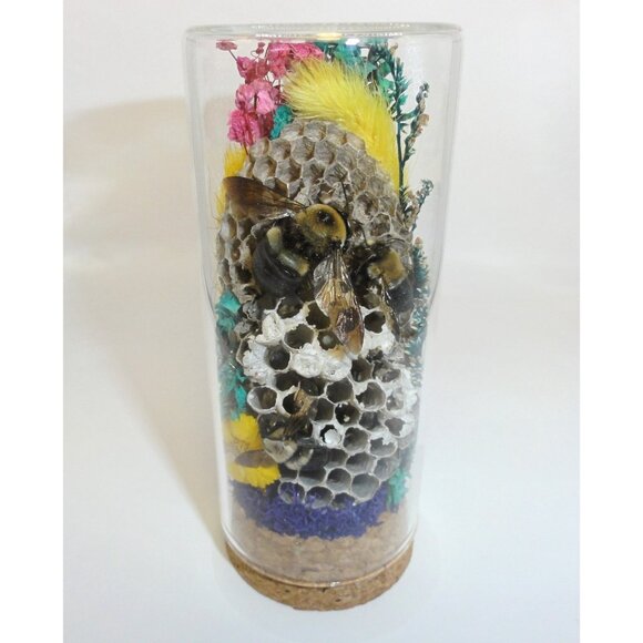 Wasp Nest & Carpenter Bee Oddity Jar curiosity dome hive insect taxidermy goth - Picture 14 of 16